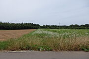 大きな大きな土地17,304平方メートル（5,234坪）★新規農業にチャレンジしませんか？井戸・電気あります！