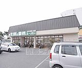 業務スーパー 深草店まで600m 裏にはイズミヤ、横にはコンビニ ここは業務スーパー