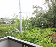 静かな環境です