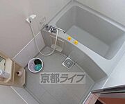 うれしいセパレートです