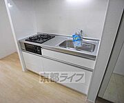 大きなシステムキッチン搭載です。