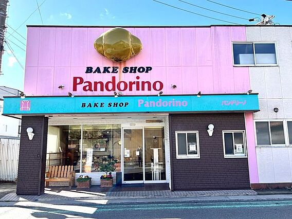 【パンドリーノ...