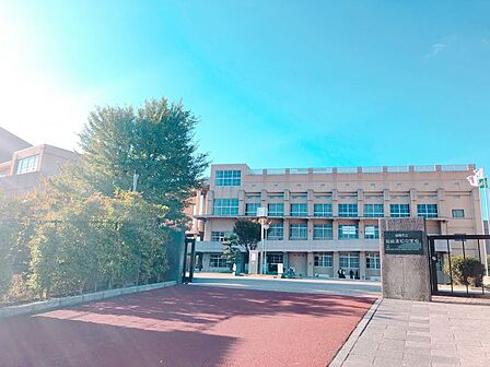 箱崎清松中学校 徒歩約14分 1100m