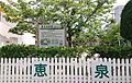 恵泉幼稚園まで...