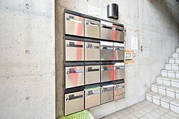 12 / 26