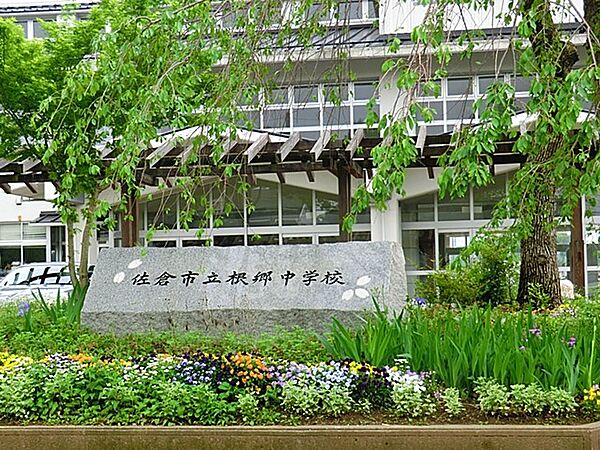 周辺を拡大表示