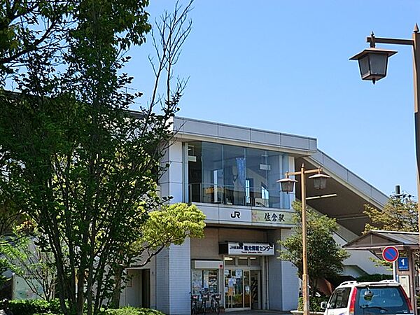 周辺を拡大表示