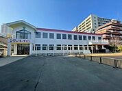 幼稚園・保育園 900m 自然幼稚園