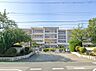 周辺：小学校 900m 流山市立南流山第二小学校