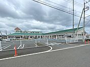 幼稚園・保育園 450m 葉山こども園