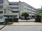 小学校 320m 松戸市立八ケ崎小学校