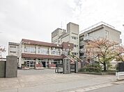 中学校 560m 松戸市立旭町中学校