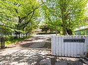 中学校 1990m 船橋市立船橋中学校