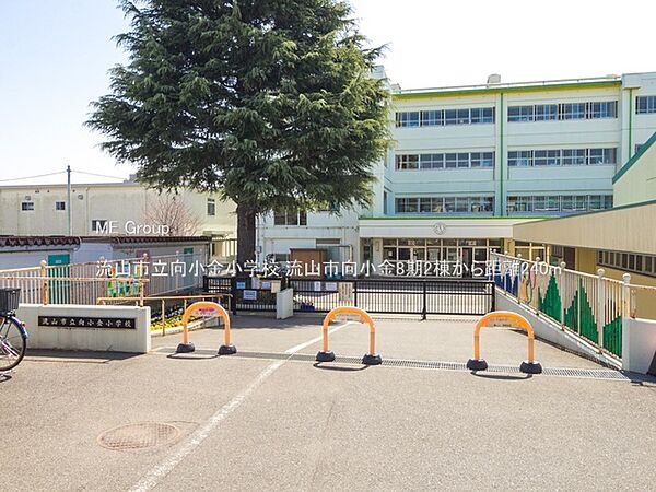 周辺を拡大表示