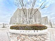 溢れる陽光でご家族の笑顔も輝く 