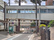 小学校 730m 松戸市立小金小学校
