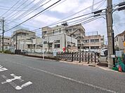 小学校 500m 松戸市立北部小学校