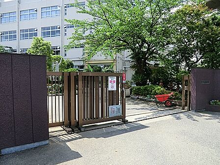 小学校 160m 市川市立新浜小学校