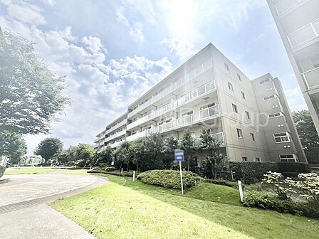 溢れる陽光でご家族の笑顔も輝く