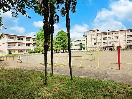 小学校 1600m 犢橋小学校