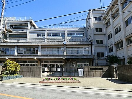 小学校 260m 松戸市立六実第三小学校