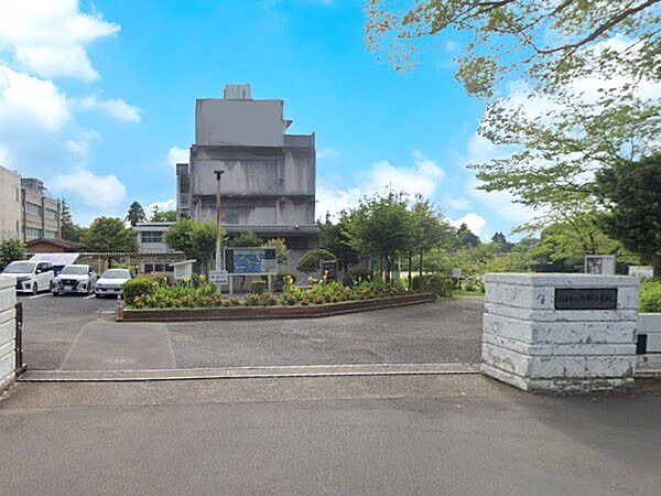 周辺を拡大表示