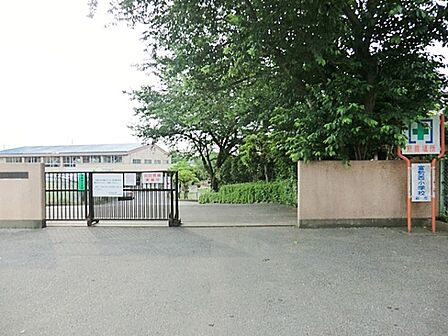 小学校 950m 柏市立富勢西小学校