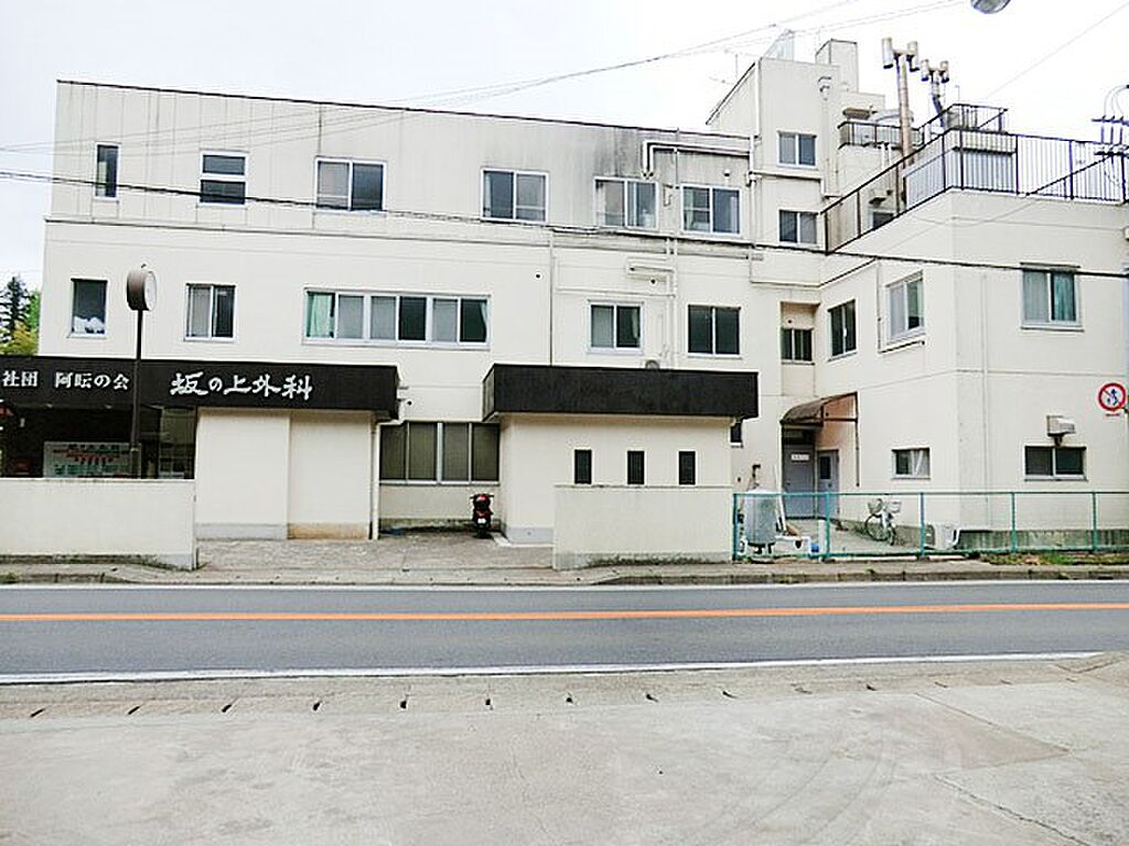 Image 61