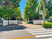 小学校 550m 松戸市立栗ケ沢小学校