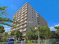 千葉県市川市鬼高2丁目：物件画像