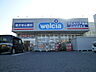 周辺：ウェルシア東川口店（420m）