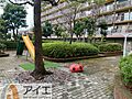 溢れる陽光でご...