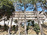 溢れる陽光でご家族の笑顔も輝く住まい