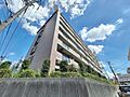 風通しが良く、...