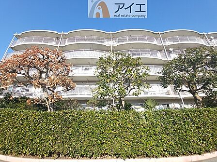 風通しが良く、開放感あふれる陽当たりの良いお部屋です