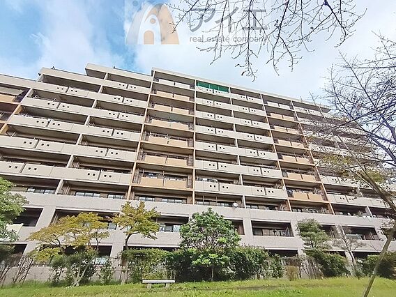 朝から日差しい...