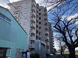 ピュアライフ川花