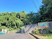 自由ケ丘幼稚園 1060m