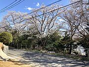 春には桜が目の前に広がり、四季を感じながら穏やかな時間をお過ごしいただけます♪