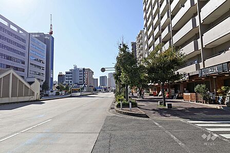 敷地南東側の前面道路(北東側から)