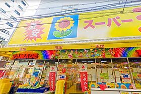 シティコート住吉大社  ｜ 大阪府大阪市住之江区浜口東1丁目（賃貸アパート1LDK・2階・38.77㎡） その4