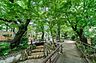 周辺：目の前には緑豊かな公園が広がり、子育てファミリーに嬉しい住環境です。四季折々の自然を身近に感じながら、のびのびとお子様を育むことができる、お散歩や遊び場に困らない贅沢なロケーションです。