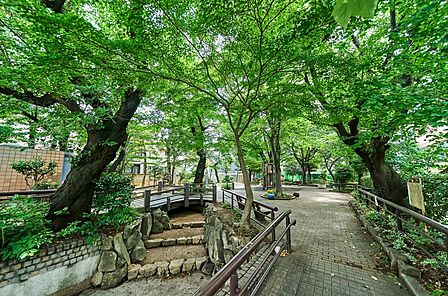 目の前には緑豊かな公園が広がり、子育てファミリーに嬉しい住環境です。四季折々の自然を身近に感じながら、のびのびとお子様を育むことができる、お散歩や遊び場に困らない贅沢なロケーションです。