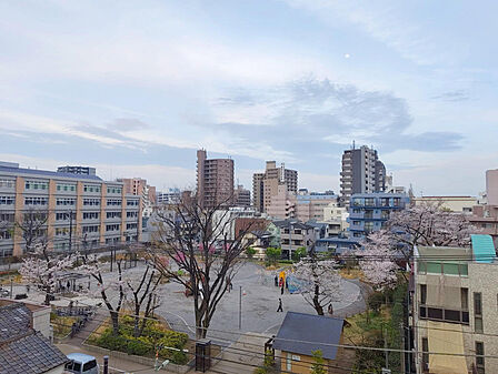 春にはお部屋から桜を望めます。