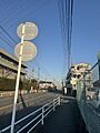 【その他現地】...