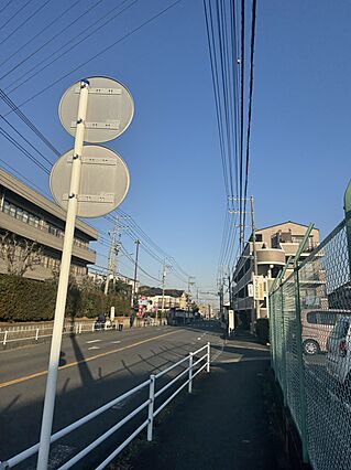 【その他現地】...
