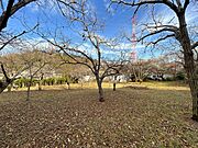 老人ホーム・介護施設・店舗用地・倉庫・事務所等に最適な土地です。
