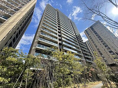 外観:外観 外観:外観