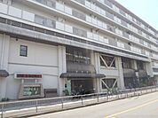 西京区役所まで900メートル