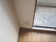 ＴＶもこちらから